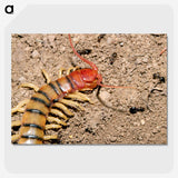 3-34_Insects-Unlocked-Project_picture-crop