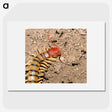 3-34_Insects-Unlocked-Project_picture