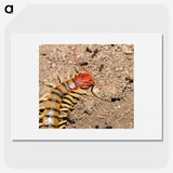 3-34_Insects-Unlocked-Project_picture