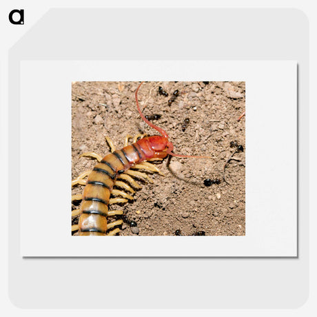 3-34_Insects-Unlocked-Project_picture
