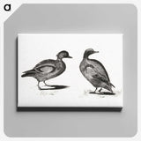 3-34_Johan-Teyler_canvas