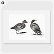 3-34_Johan-Teyler_picture