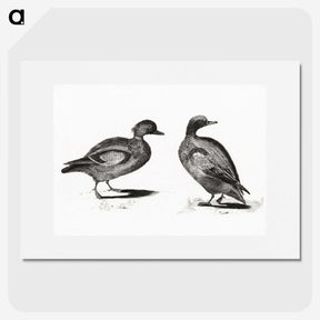 3-34_Johan-Teyler_picture