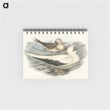 3-34_John-Gould_memo