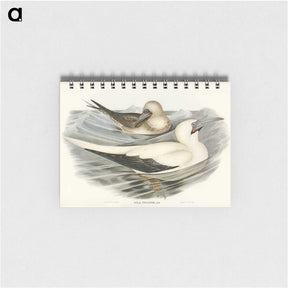 3-34_John-Gould_memo