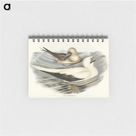 3-34_John-Gould_memo