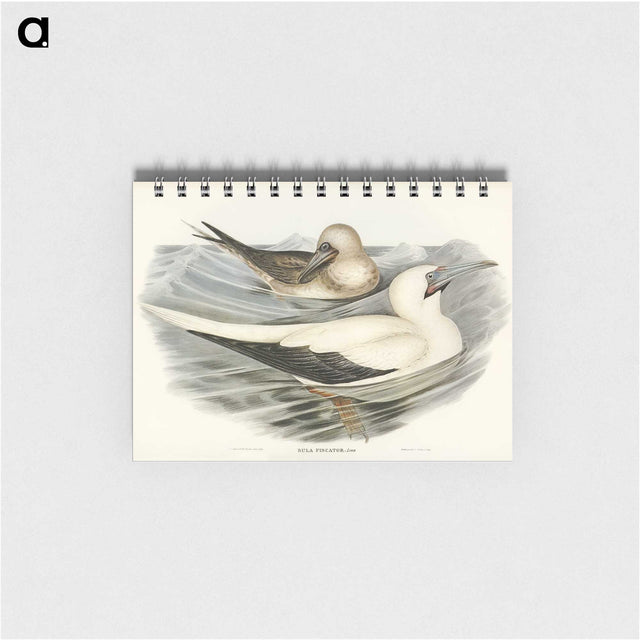 3-34_John-Gould_memo