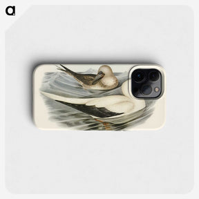 3-34_John-Gould_phone