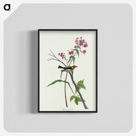 3-34_John-James-Audubon_blk-crop