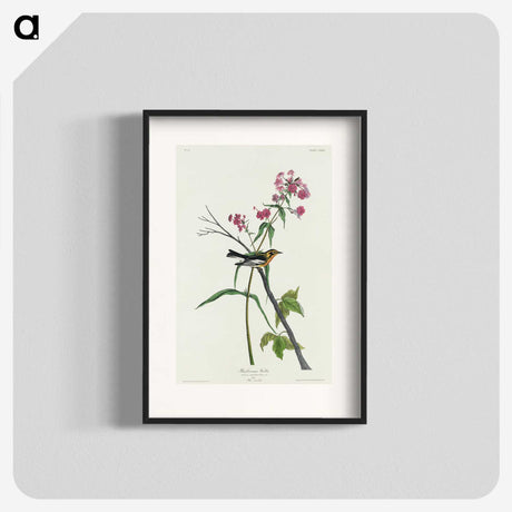 3-34_John-James-Audubon_blk