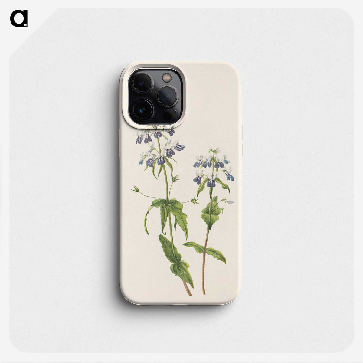 3-34_Mary-Vaux-Walcott_phone