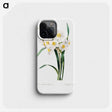 3-34_Pierre-Joseph-Redoute_phone