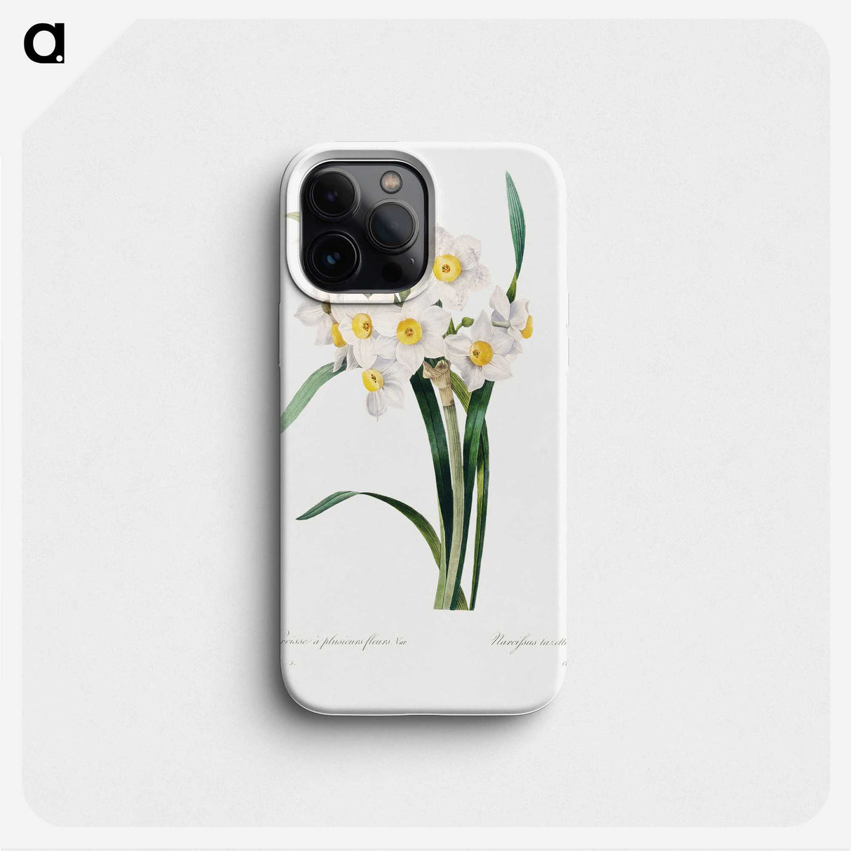 3-34_Pierre-Joseph-Redoute_phone