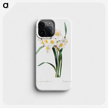 3-34_Pierre-Joseph-Redoute_phone