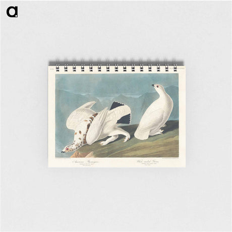 アートメモ帳-American Ptarmigan and White-tailed Grous from Birds of America
 - アメリカの鳥たち Memo.