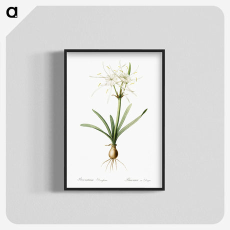 3-34_The-Lilies_blk-crop