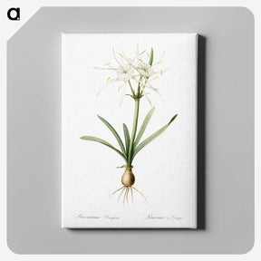 3-34_The-Lilies_canvas