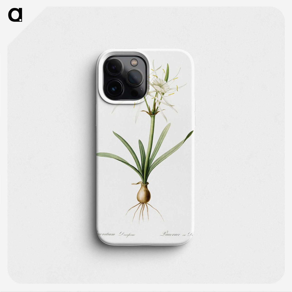 3-34_The-Lilies_phone