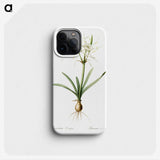 3-34_The-Lilies_phone