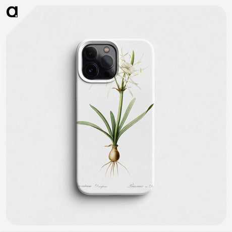 3-34_The-Lilies_phone
