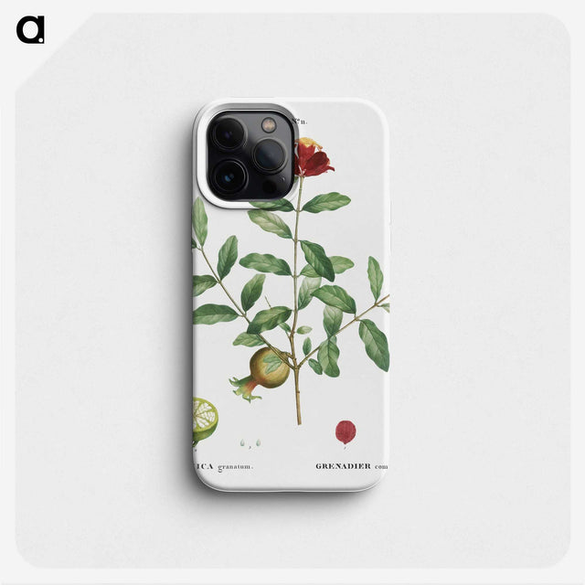 3-34_Treatise-on-Trees-and-Shrubs_phone