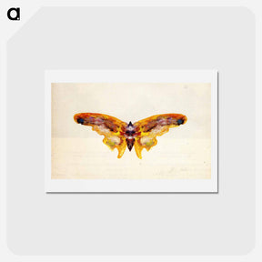 アートポストカード-Butterfly - アルバート ビアスタット Postcard.