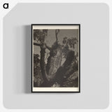 3-35_Alfred-Stieglitz_blk-crop