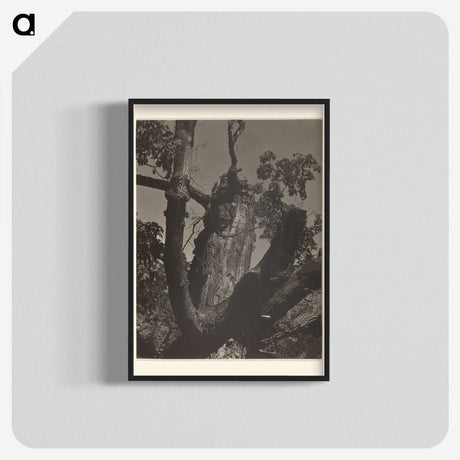 3-35_Alfred-Stieglitz_blk-crop