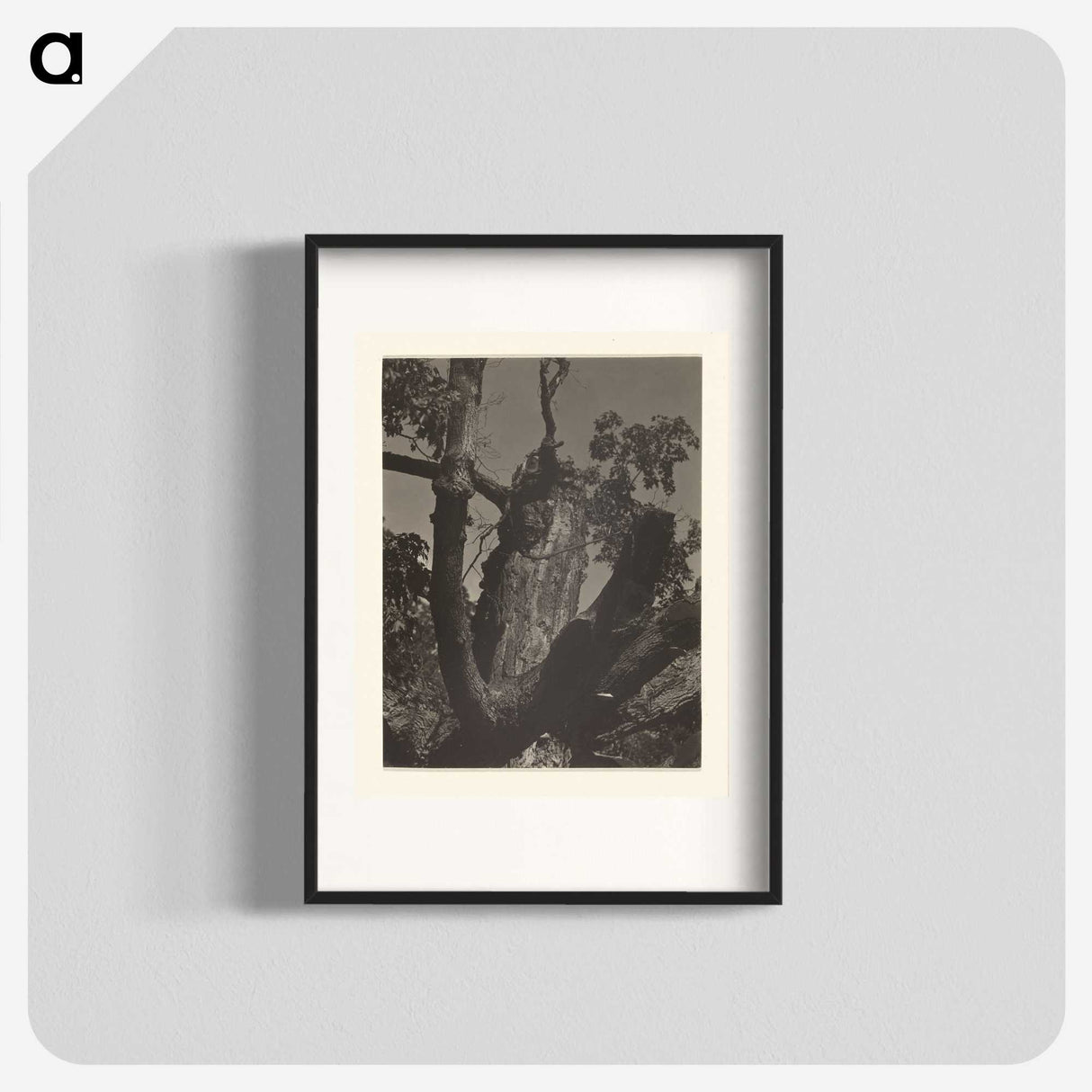 3-35_Alfred-Stieglitz_blk