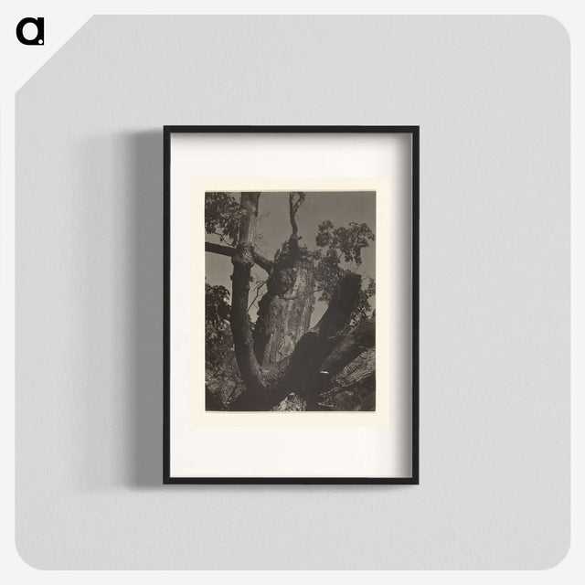 3-35_Alfred-Stieglitz_blk