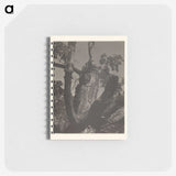 3-35_Alfred-Stieglitz_memo