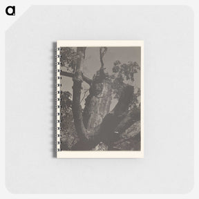 3-35_Alfred-Stieglitz_memo