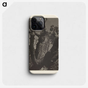 3-35_Alfred-Stieglitz_phone