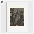 3-35_Alfred-Stieglitz_picture