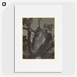 3-35_Alfred-Stieglitz_picture