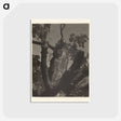 3-35_Alfred-Stieglitz_postcard