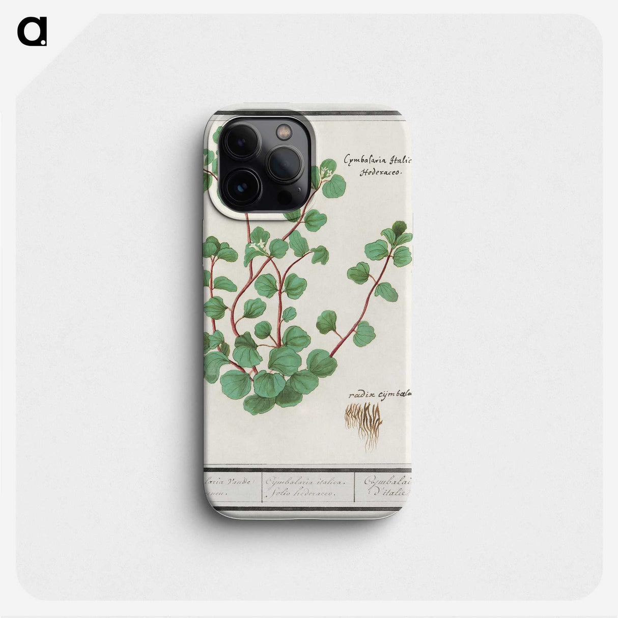 3-35_Anselmus-Boetius-de-Boodt_phone