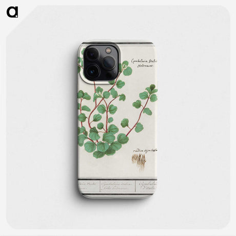 3-35_Anselmus-Boetius-de-Boodt_phone