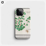 Cymbalaria - アンセルムス ボエティウス デ ブート Phone Case.