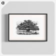 アートポスター-Victorian Tree Engraving
 - 大英図書館 Poster.