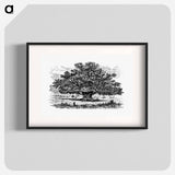 アートポスター-Victorian Tree Engraving
 - 大英図書館 Poster.