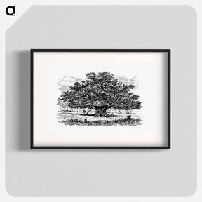 アートポスター-Victorian Tree Engraving
 - 大英図書館 Poster.