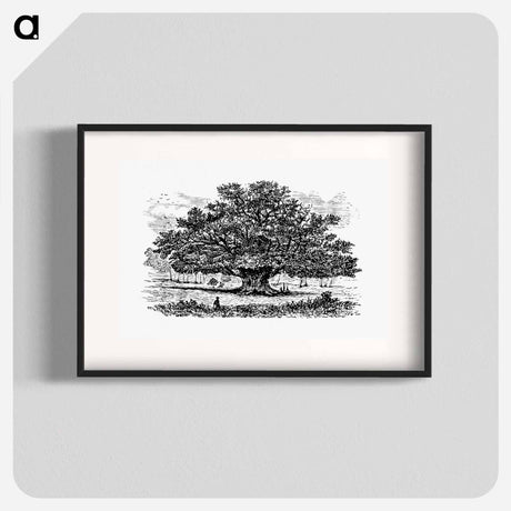 アートポスター-Victorian Tree Engraving
 - 大英図書館 Poster.