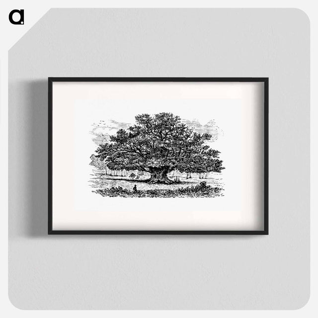アートポスター-Victorian Tree Engraving
 - 大英図書館 Poster.