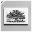 アートパネル-Victorian Tree Engraving
 - 大英図書館 Canvas.