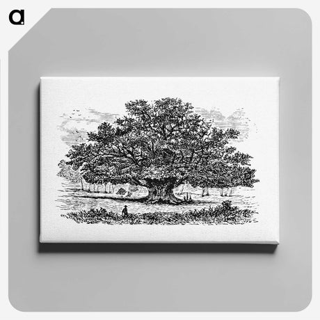 3-35_British-Library_canvas