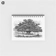 アートメモ帳-Victorian Tree Engraving
 - 大英図書館 Memo.