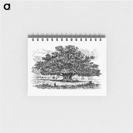 アートメモ帳-Victorian Tree Engraving
 - 大英図書館 Memo.