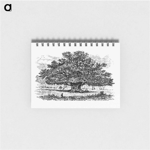 アートメモ帳-Victorian Tree Engraving
 - 大英図書館 Memo.