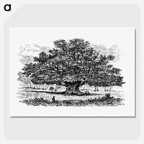 3-35_British-Library_picture-crop